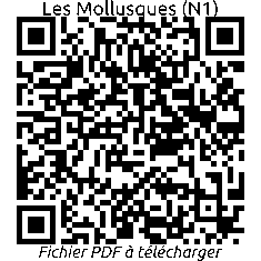 Accueil général, le fichier PDF est proposé en téléchargement